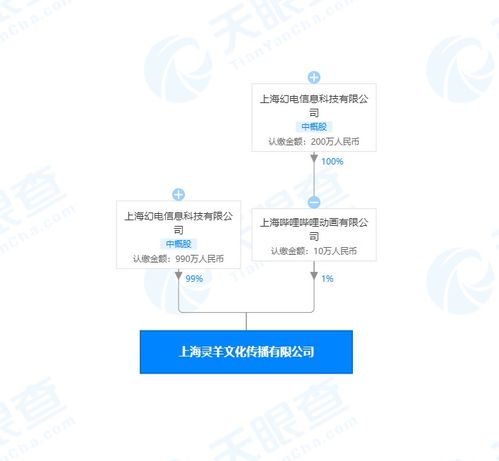 B站關聯公司于上海成立文化傳播公司，注冊資本1000萬，加碼市場營銷策劃